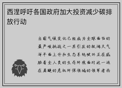 西涅呼吁各国政府加大投资减少碳排放行动